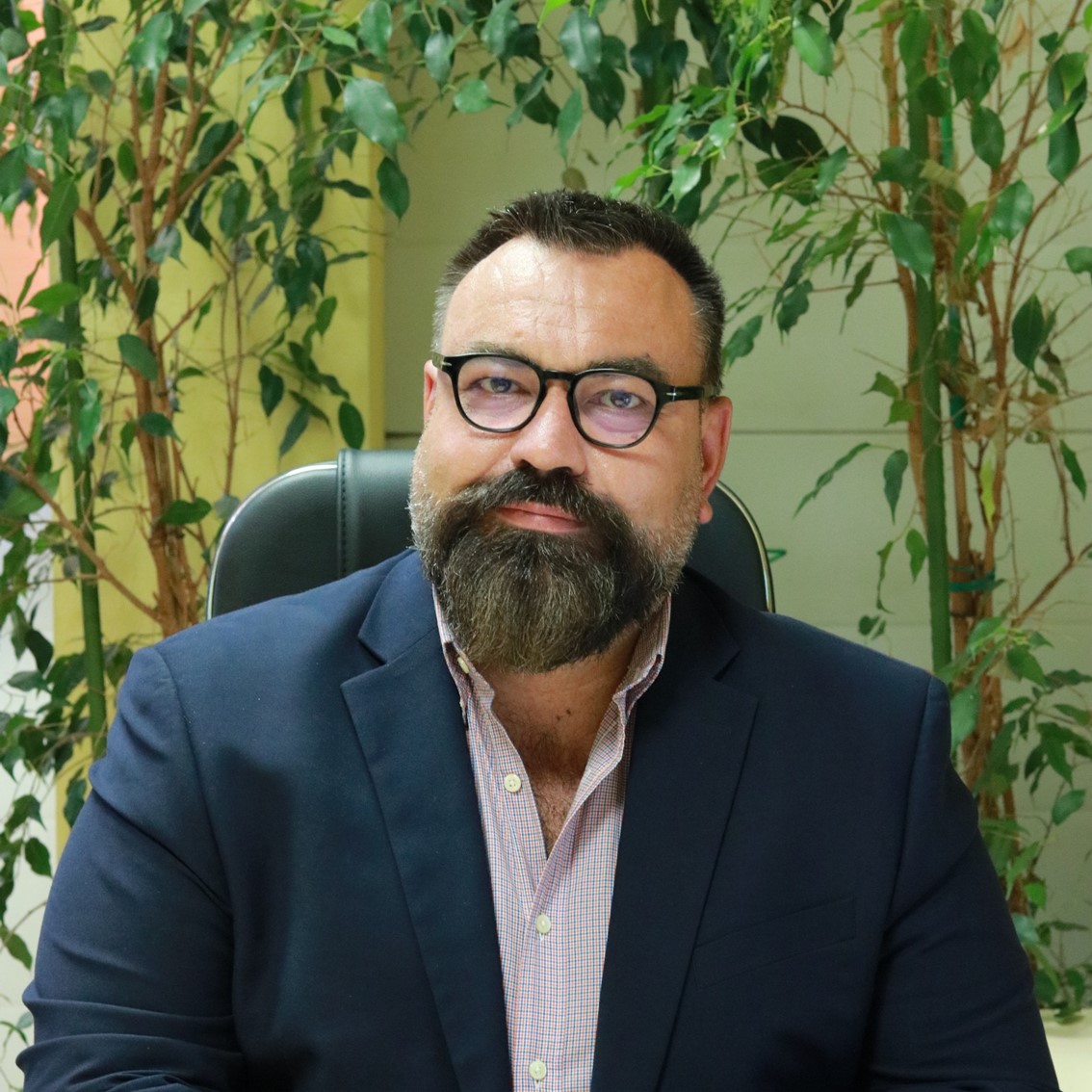 Соколов Дмитрий Владимирович